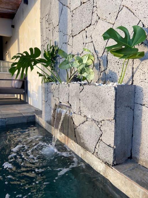Cocoon Love Avec Piscine Privative Saint-Louis Exterior photo